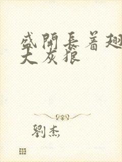 盛开长着翅膀的大灰狼