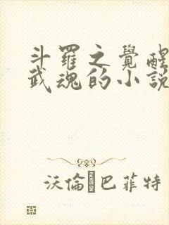 斗罗之觉醒三生武魂的小说