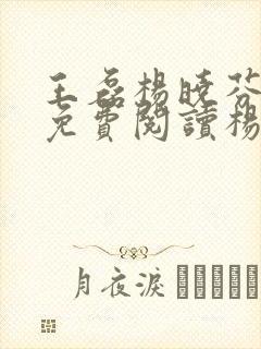 王磊杨晓芬小说免费阅读杨笔趣阁