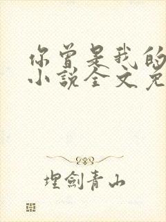 你曾是我的唯一小说全文免费阅读