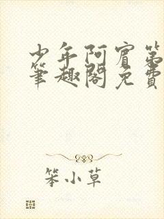 少年阿宾第二章笔趣阁免费阅读