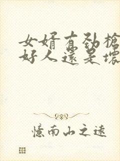 女婿有劲枪枪是好人还是坏人