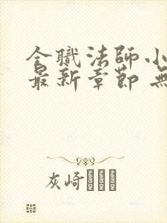 全职法师小说 最新章节 无弹窗