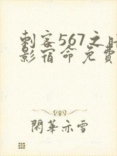 刺客567之暗影宿命免费观看封面