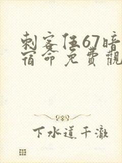 刺客伍67暗影宿命免费观看完整版