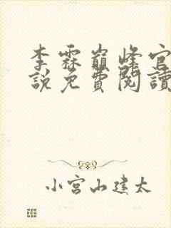 李霖巅峰官场小说免费阅读