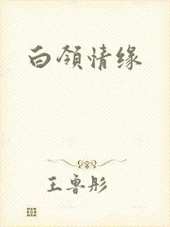 白领情缘封面