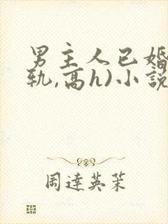 男主人已婚(出轨,高h)小说