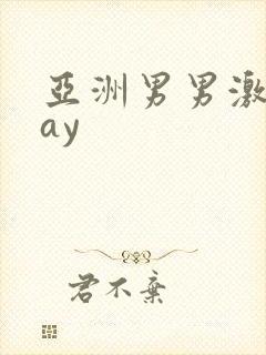 亚洲男男激情gay