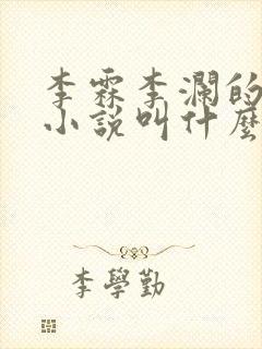 李霖李澜的官场小说叫什么