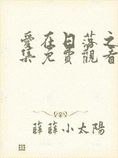 爱在日落之前全集免费观看