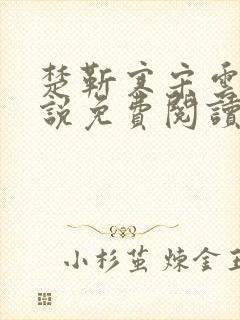 楚靳寒宋云绯小说免费阅读最新章节封面