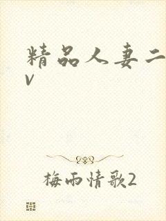 精品人妻二区av