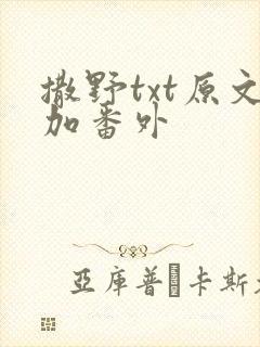 撒野txt原文加番外封面