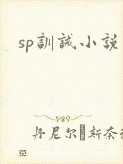 sp训诫小说