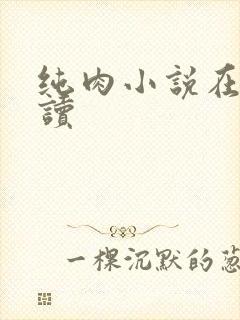 纯肉小说在线阅读