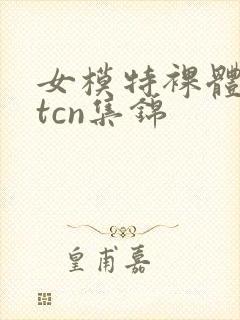 女模特裸体metcn集锦封面