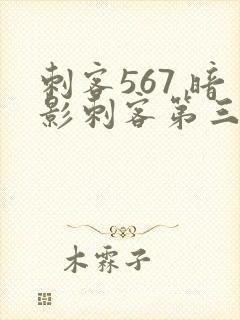 刺客567 暗影刺客第三季