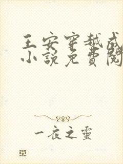 王安穿越成太子小说免费阅读