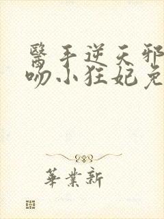 医手逆天邪王毒吻小狂妃免费阅读