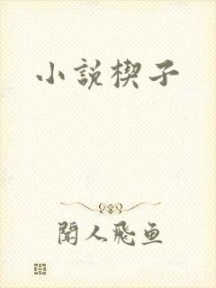 小说楔子