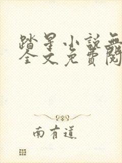 踏星小说无弹窗全文免费阅读