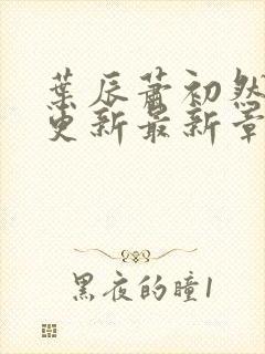 叶辰萧初然刚刚更新最新章节列表