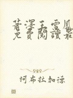 萧泽王雪凤小说免费阅读最新章节