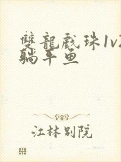 双龙戏珠1v2躺平鱼