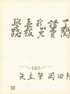 学长我错了 跷跷板免费阅读