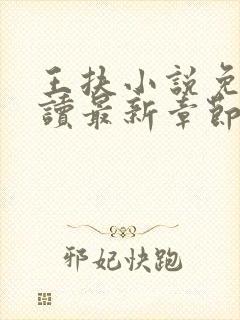 王扶小说免费阅读最新章节无弹窗