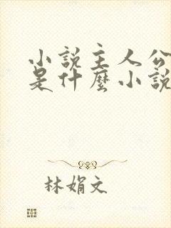 小说主人公叶玄是什么小说名封面