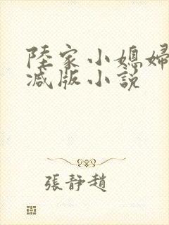 陆家小媳妇无删减版小说