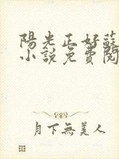 阳光正好苏玥玥小说免费阅读无弹窗