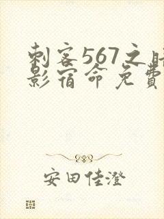 刺客567之暗影宿命免费观看封面