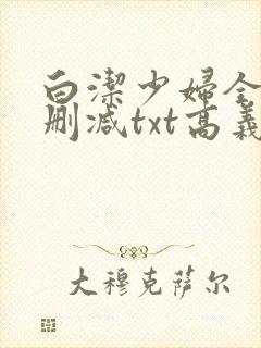 白洁少妇全文无删减txt高义
