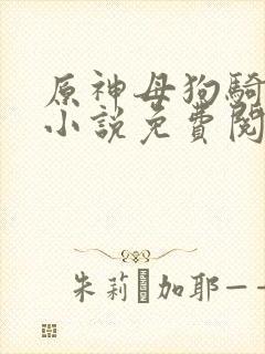 原神母狗骑士团小说免费阅读全文