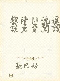 黎靖川沈遥初小说免费阅读最新章节封面