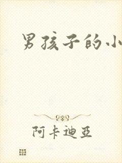 男孩子的小鸟鸟