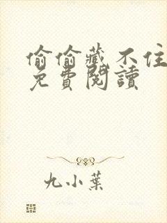 偷偷藏不住小说免费阅读