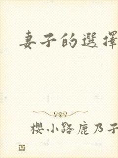 妻子的选择小说