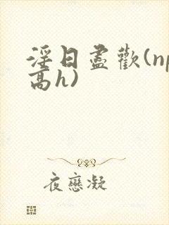 淫日尽欢(np高h)