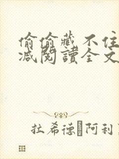 偷偷藏不住无删减阅读全文