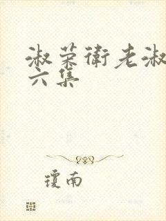 淑荣卫老淑荣第六集封面