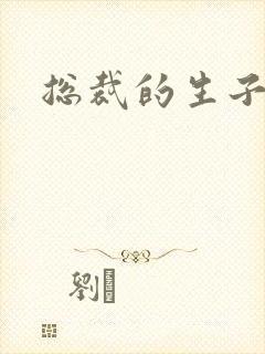 总裁的生子情人