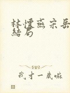 林怀燕宋岳泽大结局封面