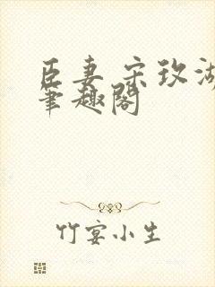 臣妻 宋玫湖 笔趣阁封面