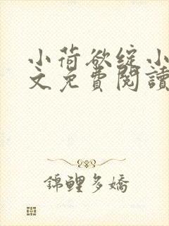 小荷欲绽小说全文免费阅读笔趣阁