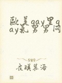 欧美gay里gay气男男网站
