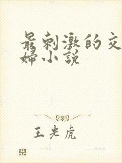 最刺激的交换夫妇小说